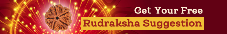 Get Your Free Rudraksha Suggestion