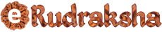 Rudraksha