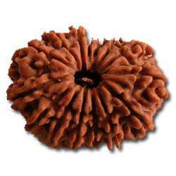 15 Mukhi